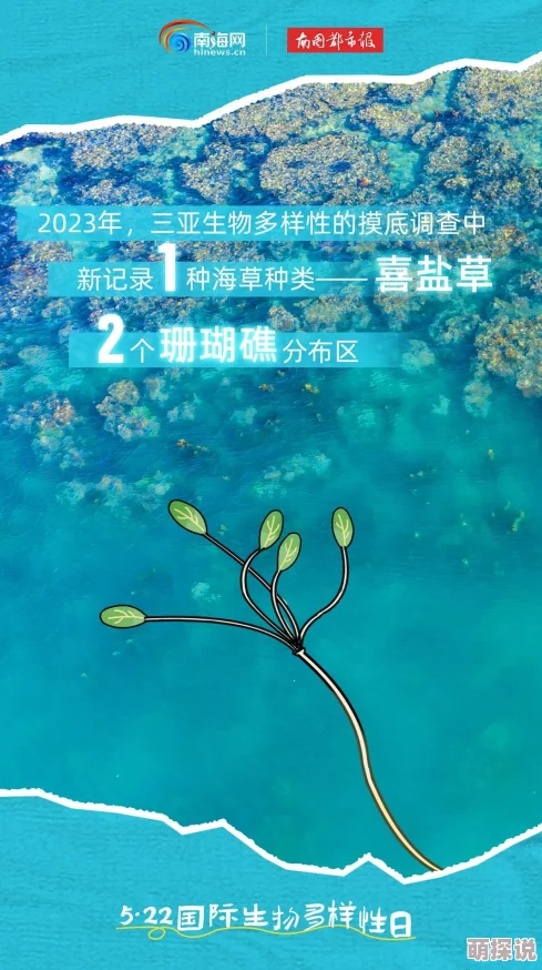 一本岛道探索海洋生物多样性新发现