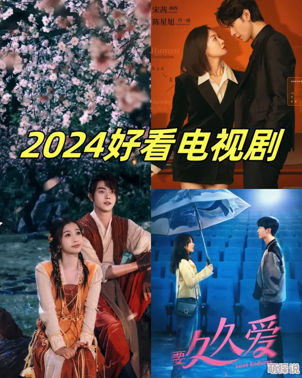 寻情记2023年全集完整版该剧在最新一集中揭示了主角的秘密情感纠葛，观众反响热烈