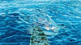 大肥女bbwass渔业阴谋携手共建可持续海洋生态保护未来 大肥女bbwass渔业阴谋携手共建可持续海洋生态保护未来