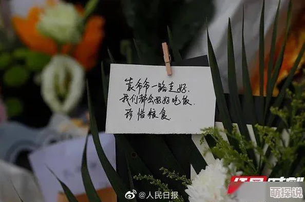 乡村小祸害青春灰姑娘追逐梦想勇敢前行相信自己终会绽放光彩 乡村小祸害青春灰姑娘追逐梦想勇敢前行相信自己终会绽放光彩