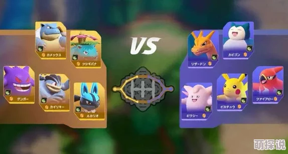 惊喜爆料！宝可梦大集结水箭龟顶尖持有物与道具搭配推荐，战力飙升秘籍！