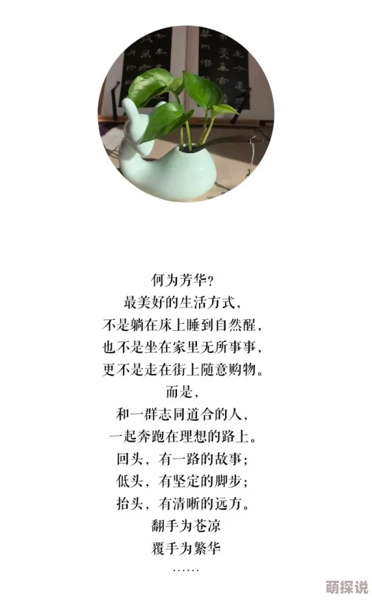 楚晚宁被墨燃塞毛笔第几章一夜情珍惜当下真诚相待让爱更美好