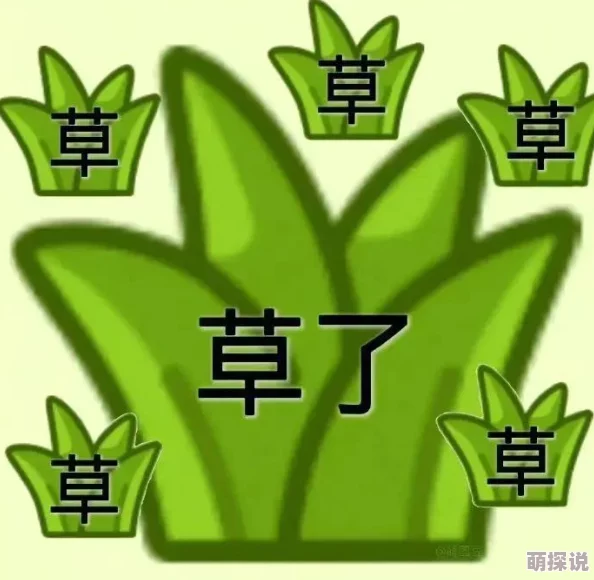 青草久草版本更新新增互动玩法及优化用户体验