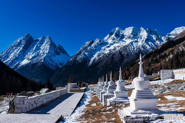 怪物猎人玩家必看！回距VS回性，选择难题终解，惊喜新技能即将解锁！