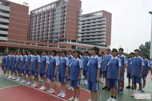 《使命召唤手游》2024年惊喜福利大放送！最新兑换码全汇总，限时领取不容错过！
