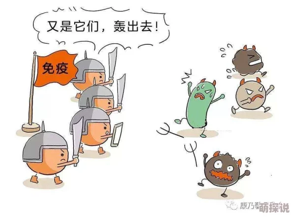 小可的奶水――志强导轨：引领前行的方向，助力梦想的实现与飞跃