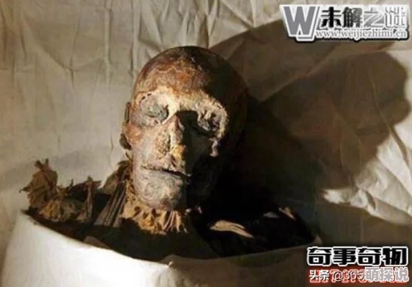 《保卫萝卜4》法老归来第91关通关攻略大揭秘，惊喜消息：全新关卡即将上线！