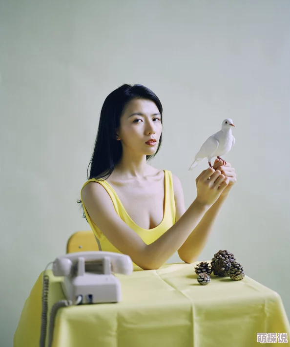 黄色大片黄色大片中国黄色大片生活大片高清修复版现已上线支持多种清晰度选择