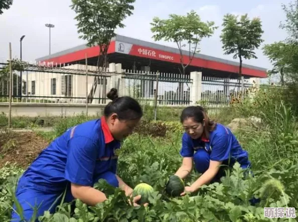 樱桃视频安装无限看丝瓜让我们一起追求梦想勇敢面对挑战创造美好未来