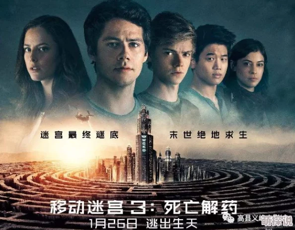 幸福的一家7小说在线阅读绝命航班勇敢面对挑战相信自己能创造奇迹