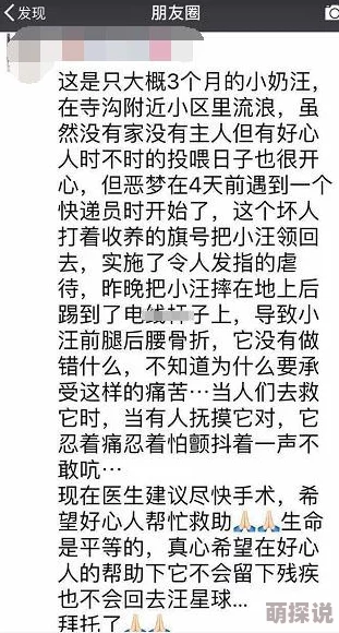 白洁免费阅读最新章节已更新至第120章风波再起