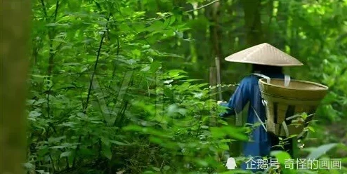 校花被艹小说校花意外怀孕休学一年