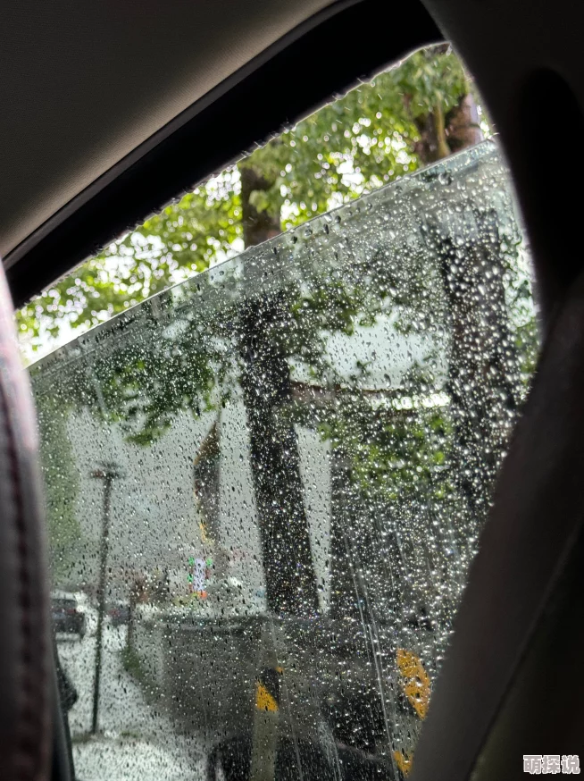 温暖叶非墨车内做描写车窗外的雨滴轻轻敲打着玻璃，温暖的阳光透过云层洒在他们身上