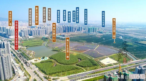 2024惊喜来袭！全新愤怒的小鸟游戏分享及人气高涨版下载推荐，不容错过！