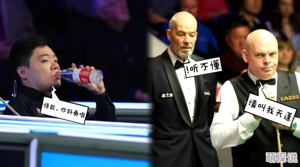2024最好玩的小鲨鱼游戏大揭秘，惊喜消息！热门鲨鱼游戏下载推荐来啦