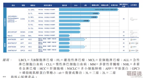 欧美多人项目进展顺利团队已完成前期筹备工作即将进入拍摄阶段