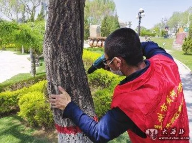 风情不摇晃完整版阅读全文已更新至最终章大结局