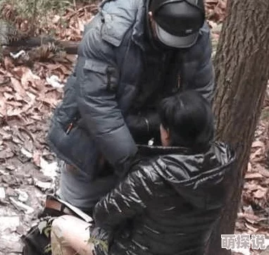 老头树林野战做爰视频资源更新下载速度提升