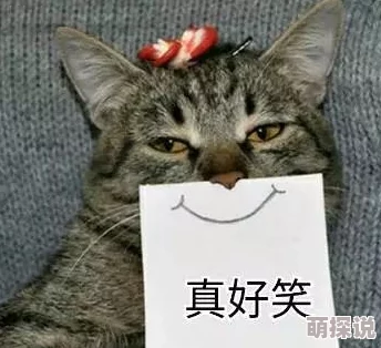 海外猫咪最新地域网名是啥因平台规则限制无法提供相关信息请尝试其他关键词