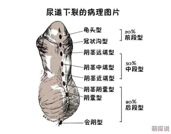 男人鸡扒叉入美女尿道的视頻审核已通过资源已更新请下载观看