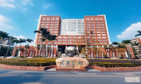 2024热门中年人手游大盘点：惊喜推荐！适合中年人的手机版游戏新选择来袭