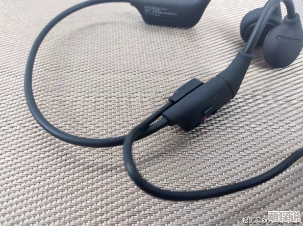 2024必玩模拟驾驶游戏大揭秘！惊喜推荐：顶尖驾驶体验等你来享的顶级游戏清单