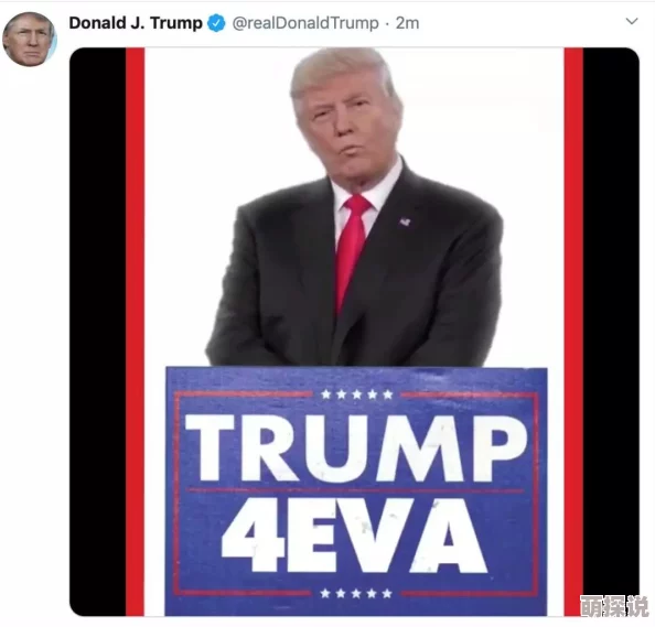 2024惊喜来袭！新世纪福音战士游戏合集大放送，经典与新品齐聚的EVA游戏盛宴