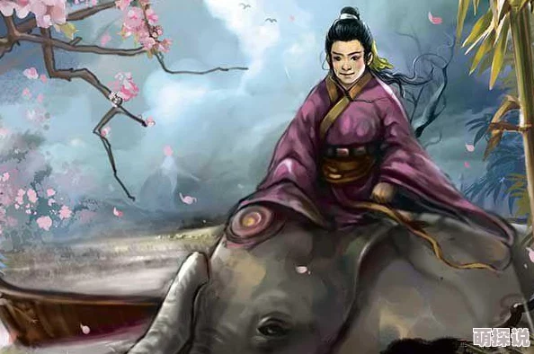 微微三国VIP价格表全面介绍，惊喜消息：限时折扣特惠，尊享豪华礼包等你来拿！