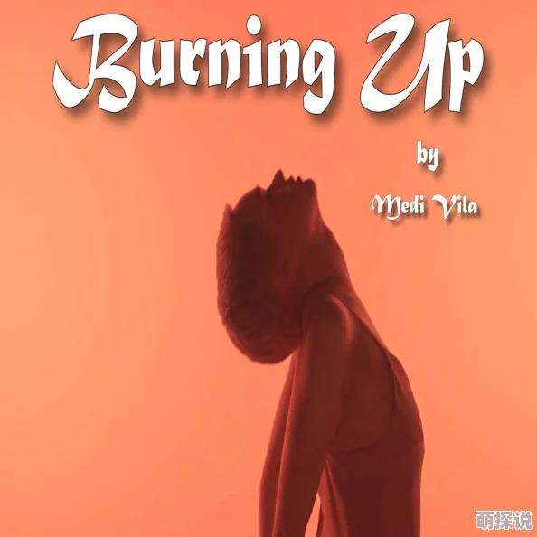 灭火宝贝BurningUp2009美国版俄罗斯学院高清修复版现已上线