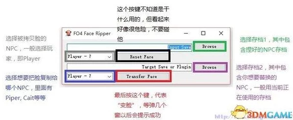 辐射4NPC美貌大揭秘：哪个女性角色最惊艳？惊喜消息即将揭晓！