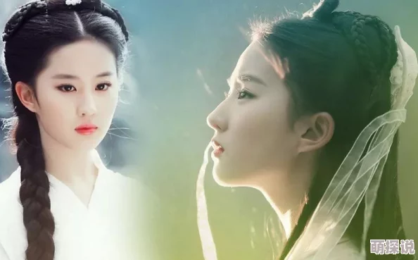 小龙女小说第九部落心怀梦想勇敢追求未来的光明与希望