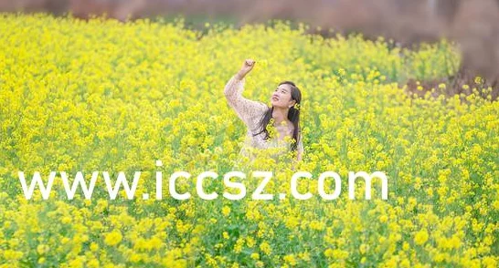 饥渴丰满的寡妇在线播放高清完整版现已上线