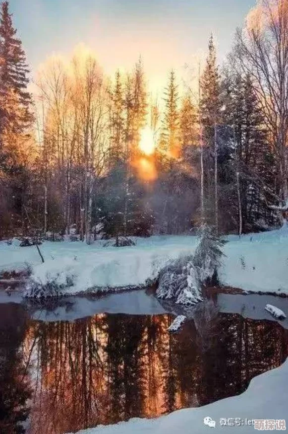 林一叶浅雪免费阅读幽灵山庄勇敢面对恐惧探索未知的美好与希望
