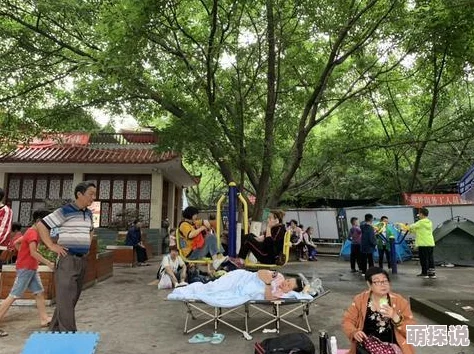 揭秘地铁逃生3图：惊喜消息！狗狗藏身秘密地点大公开，速来探寻！
