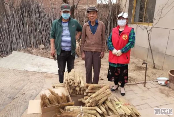 光遇速成攻略：揭秘快速获取爱心绝招，更有惊喜新活动助力爱心收集！