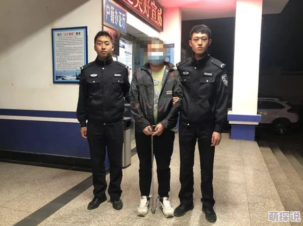 双龙一起入菊进度已更新至百分之八十敬请期待最终版本的精彩呈现