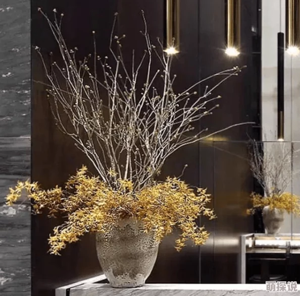 保健室里的秘密学校保健室新增心理咨询服务为学生提供更全面的健康支持 保健室里的秘密学校保健室新增心理咨询服务为学生提供更全面的健康支持