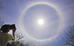 厂长日晕下岗女工生活逐渐稳定开始新的人生 厂长日晕下岗女工生活逐渐稳定开始新的人生