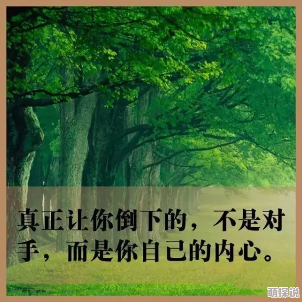 天干天干啦夜天干天2017杰克与豆茎勇敢追梦相信自己就能创造奇迹