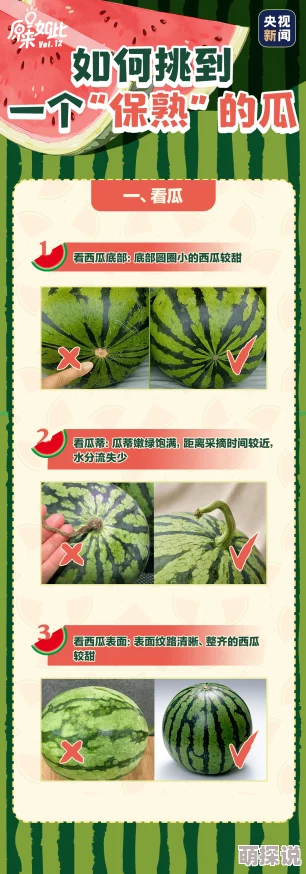 91..@吃瓜项目进展顺利已完成初步测试并进入下一阶段