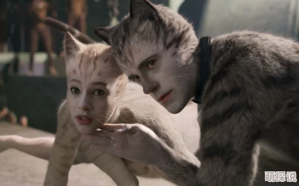 猫咪mv最新网名在线观看免费已更新至1080P高清画质版本资源丰富 猫咪mv最新网名在线观看免费已更新至1080P高清画质版本资源丰富