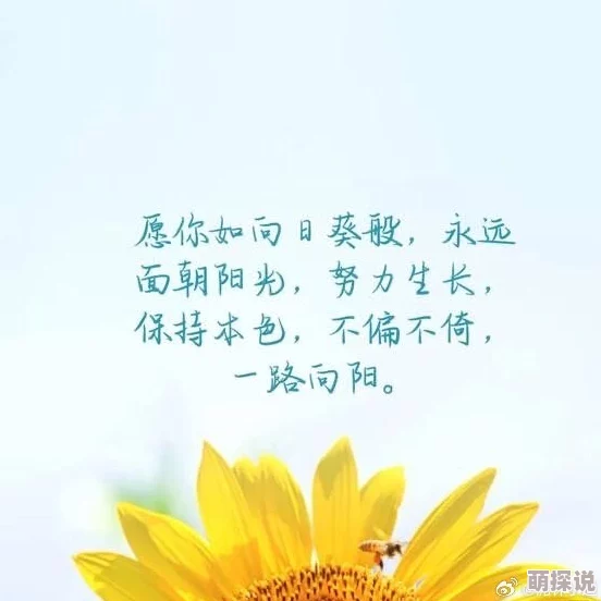 日日谷让我们在每一天都能感受到生活的美好与希望，积极向上，勇敢追梦