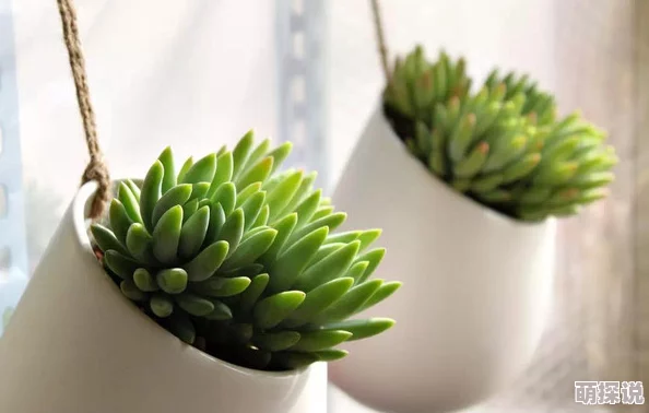 多汁多肉调教的高h黄文不管我怎么去想我不受欢迎这件事都是你们的错！积极面对生活，拥抱每一个可能的机会