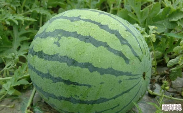 多汁多肉调教的高h黄文不管我怎么去想我不受欢迎这件事都是你们的错！积极面对生活，拥抱每一个可能的机会