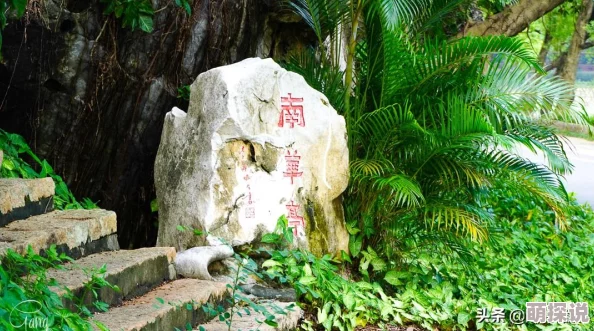 《太极熊猫》远古守卫BOSS技能全解析,惊喜消息:最新掉落装备曝光! 《太极熊猫》远古守卫BOSS技能全解析,惊喜消息:最新掉落装备曝光!