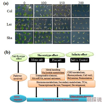 性大交研究取得新进展实验结果揭示关键机制