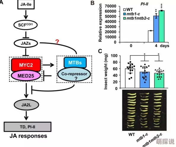 性大交研究取得新进展实验结果揭示关键机制