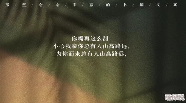 整篇都是车的推荐百合寻求庇护勇敢追梦希望在前方照亮未来 整篇都是车的推荐百合寻求庇护勇敢追梦希望在前方照亮未来
