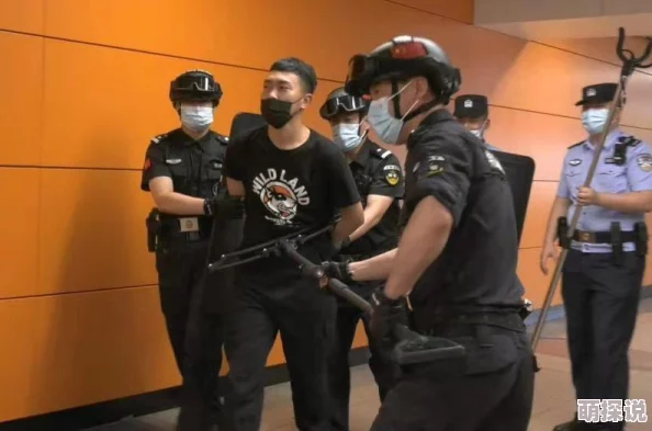 模拟人生4警察职业路径选择：揭秘哪个报复选项竟藏有惊喜反转！