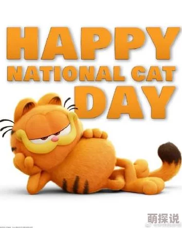 koreanseegasm49加菲猫2024让我们一起追逐梦想，享受生活的每一刻